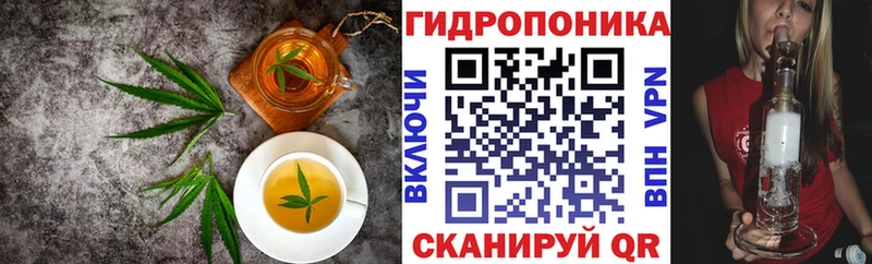 Cannafood конопля  Новозыбков 