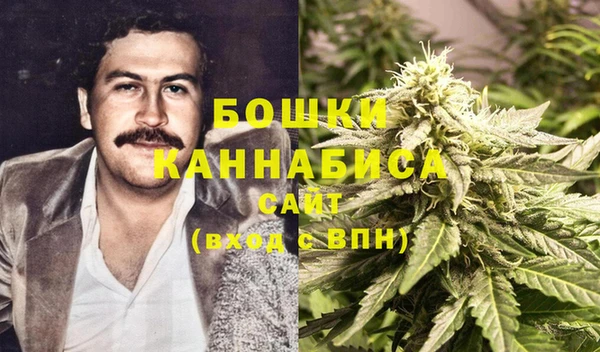каннабис Корсаков