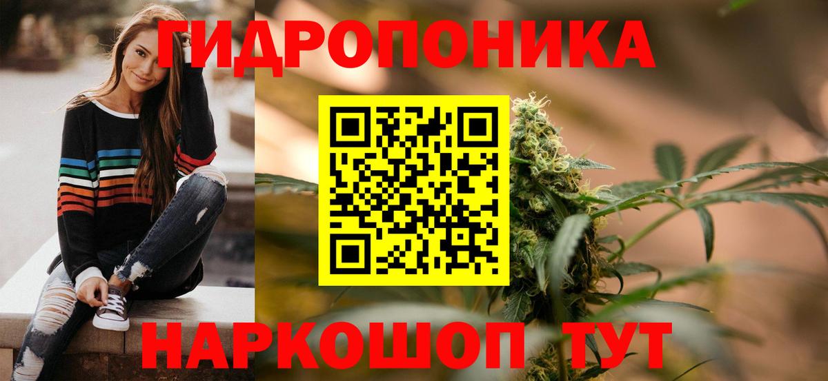 Новозыбков  Шишки марихуана гибрид  Конопля сатива  Вход с VPN 