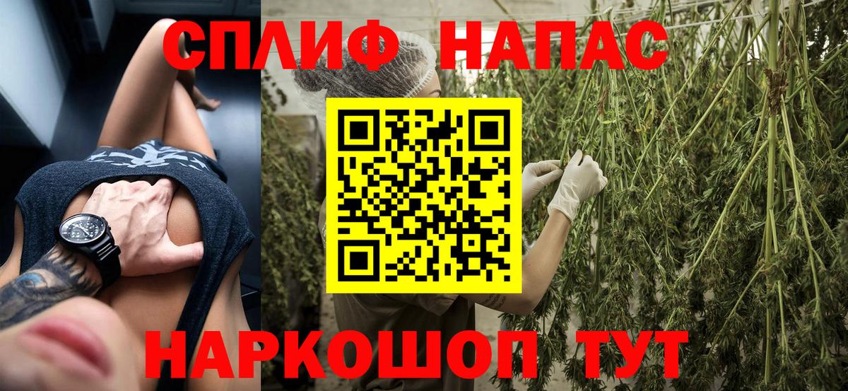 Конопля OG Kush Новозыбков